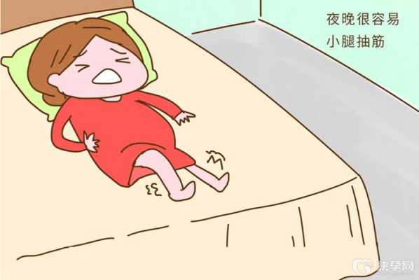 孕期腿抽筋是什么感觉(孕期腿抽筋是什么感觉啊) 第2张 孕期腿抽筋是什么感觉(孕期腿抽筋是什么感觉啊) 第2张