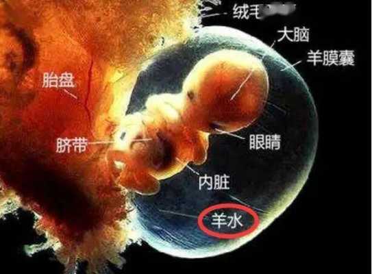 怀孕七个月,羊水指数多少为正常,7个月胎儿羊水是多少正常 第2张 怀孕七个月,羊水指数多少为正常,7个月胎儿羊水是多少正常 第2张