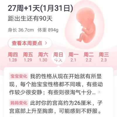 孕27周是几个月,孕期27周是几个月? 第2张 孕27周是几个月,孕期27周是几个月? 第2张