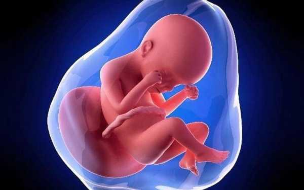 孕二十六周胎儿发育情况(孕二十六周胎儿发育情况如何) 第2张 孕二十六周胎儿发育情况(孕二十六周胎儿发育情况如何) 第2张