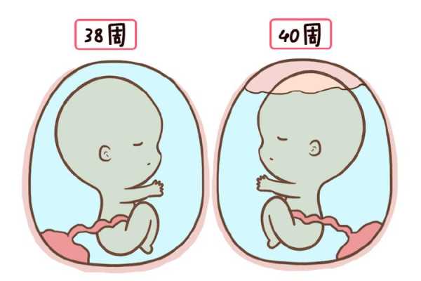孕晚期胎儿偏小四周(孕晚期胎儿偏小四周) 第1张 孕晚期胎儿偏小四周(孕晚期胎儿偏小四周) 第1张