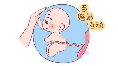 孕30周的胎儿能存活吗（孕30周的胎儿能存活吗）  第2张