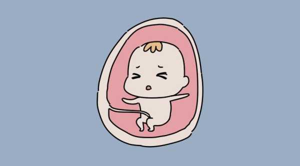 孕24周肚子胎动一抖一抖的正常吗,孕二十四周胎儿发育情况图 第2张 孕24周肚子胎动一抖一抖的正常吗,孕二十四周胎儿发育情况图 第2张