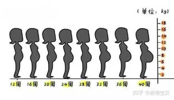 孕期各月肚子变化图(孕期各月肚子变化图片) 第3张 孕期各月肚子变化图(孕期各月肚子变化图片) 第3张