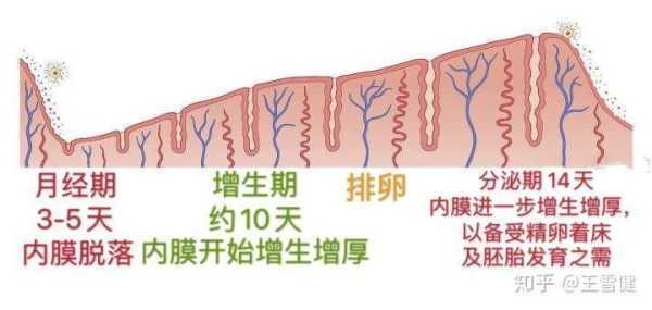 子宫内膜薄怀孕三个月了对胎儿有影响吗,内膜薄怀孕后对胎儿有影响吗知乎 第2张 子宫内膜薄怀孕三个月了对胎儿有影响吗,内膜薄怀孕后对胎儿有影响吗知乎 第2张
