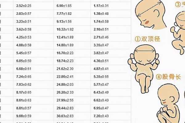胎儿头偏大是什么原因引起的(37周双顶径9.2头大吗?原因是什么啊) 第2张 胎儿头偏大是什么原因引起的(37周双顶径9.2头大吗?原因是什么啊) 第2张