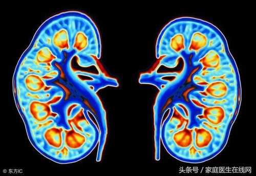 胎儿只有一个肾怎么办(胎儿只有一个肾怎么办另一个肾发育不良) 第1张 胎儿只有一个肾怎么办(胎儿只有一个肾怎么办另一个肾发育不良) 第1张