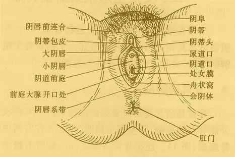 孕期外阴湿疹怎么治 第2张 孕期外阴湿疹怎么治 第2张