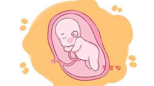 孕期胎儿头偏小三周怎么办?主要是什么原因?有什么影响,胎儿头颅小是怎么回事 第1张 孕期胎儿头偏小三周怎么办?主要是什么原因?有什么影响,胎儿头颅小是怎么回事 第1张
