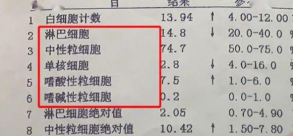 孕期白细胞偏高怎么办（孕期白细胞偏高怎么办呢）  第1张
