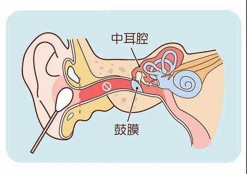 胎儿内耳发育(胎儿内耳发育注意事项) 第3张 胎儿内耳发育(胎儿内耳发育注意事项) 第3张