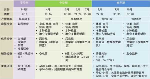 胎儿生长检测(怀孕14周要做什么产检) 第2张 胎儿生长检测(怀孕14周要做什么产检) 第2张