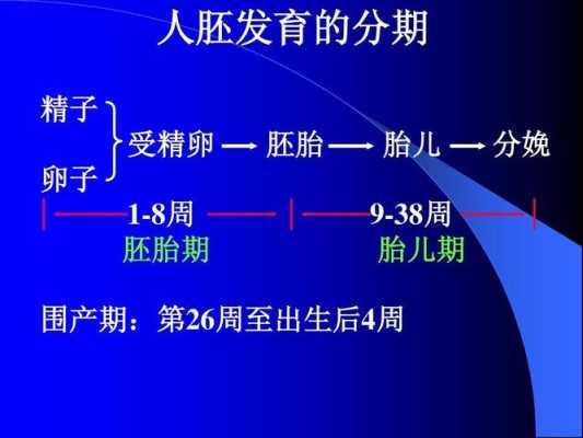 胎儿期记忆(胎儿期记忆特点是什么) 第2张 胎儿期记忆(胎儿期记忆特点是什么) 第2张