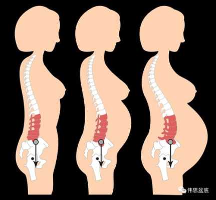 胎儿下降到骨盆(预产期过十天胎儿不入骨盆是怎么回事) 第2张 胎儿下降到骨盆(预产期过十天胎儿不入骨盆是怎么回事) 第2张