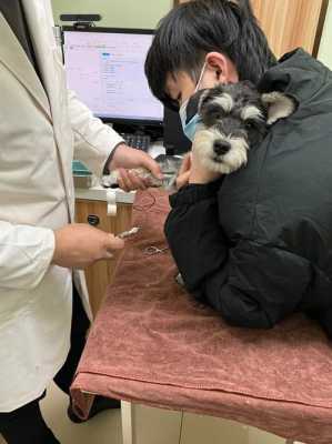 胎儿肾盂光带分离(胎儿肾盂光带分离什么意思) 第2张 胎儿肾盂光带分离(胎儿肾盂光带分离什么意思) 第2张