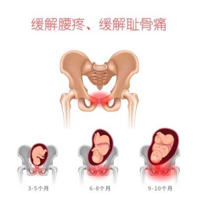 孕期耻骨痛是什么原因(孕期耻骨疼是什么意思) 第1张 孕期耻骨痛是什么原因(孕期耻骨疼是什么意思) 第1张