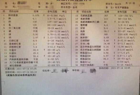 孕期血象高是怎么回事(孕期血象高是怎么回事儿) 第1张 孕期血象高是怎么回事(孕期血象高是怎么回事儿) 第1张
