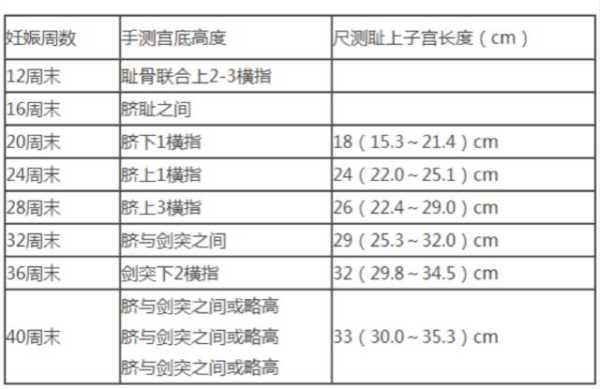 新生儿头围腹围哪个大,胎儿腹围是哪个部位 第3张 新生儿头围腹围哪个大,胎儿腹围是哪个部位 第3张