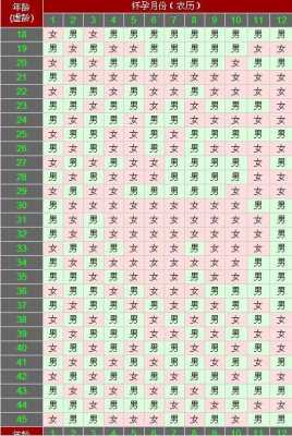 胎儿尺寸生男孩女孩(胎儿尺寸生男孩女孩怎么看) 第3张 胎儿尺寸生男孩女孩(胎儿尺寸生男孩女孩怎么看) 第3张