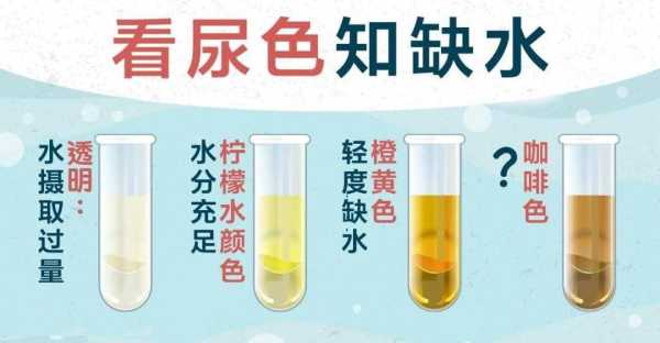 孕期尿液很黄是怎么回事,孕期脸色暗黄怎么回事儿 第2张 孕期尿液很黄是怎么回事,孕期脸色暗黄怎么回事儿 第2张
