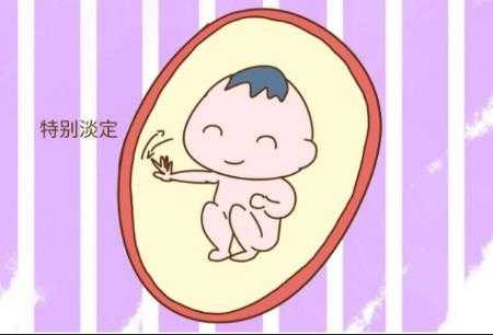 胎儿一直好动(胎儿一直好动说明什么) 第2张 胎儿一直好动(胎儿一直好动说明什么) 第2张