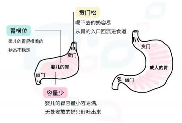 胎儿顶胃的感觉（胎儿顶胃的感觉）  第2张