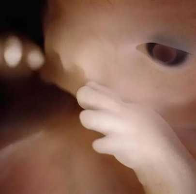 孕十六周胎儿多大,16周胎儿视频直播  第1张