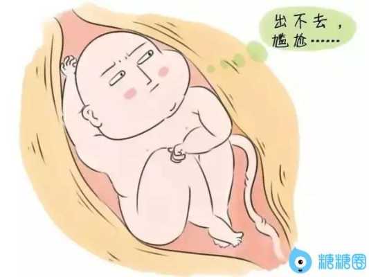 胎儿呼吸运动0分(胎儿呼吸运动0分是什么意思) 第2张 胎儿呼吸运动0分(胎儿呼吸运动0分是什么意思) 第2张