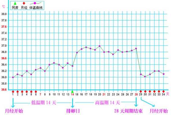孕期基础体温何时下降(孕期基础体温何时下降) 第2张 孕期基础体温何时下降(孕期基础体温何时下降) 第2张