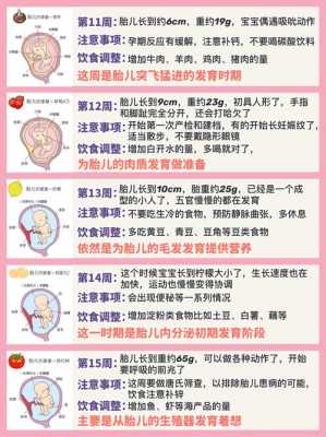孕周40周胎儿发育标准是多少?孕晚期多吃什么对胎儿有好处,怀孕40天胎儿多大图片 第2张 孕周40周胎儿发育标准是多少?孕晚期多吃什么对胎儿有好处,怀孕40天胎儿多大图片 第2张