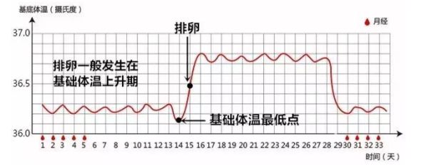 怀孕期间体温变化规律(怀孕期间体温变化规律是什么) 第2张 怀孕期间体温变化规律(怀孕期间体温变化规律是什么) 第2张