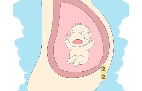 妈妈睡觉胎儿也睡觉吗(妈妈睡觉胎儿也睡觉吗图片) 第1张 妈妈睡觉胎儿也睡觉吗(妈妈睡觉胎儿也睡觉吗图片) 第1张