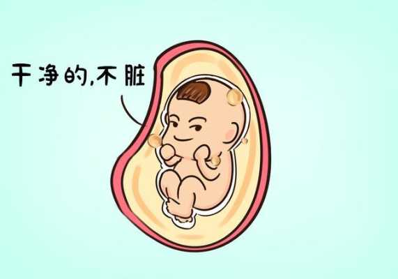 胎儿抖动是怎么回事（为什么胎宝宝喜欢在肚子里扭动）  第3张
