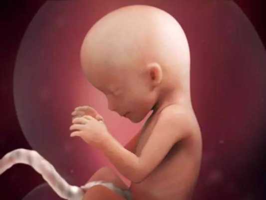 42天的宝宝特点,怀孕42天胎儿有多大图片 第3张 42天的宝宝特点,怀孕42天胎儿有多大图片 第3张