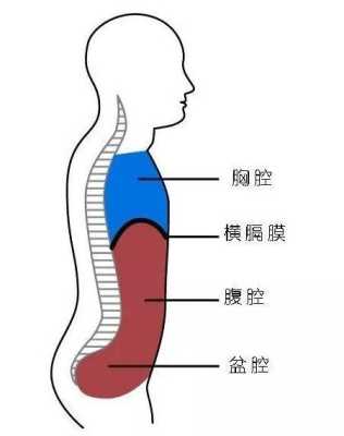 什么是胎儿呼吸样运动(五十天宝宝呼吸声音大,怎么回事) 第2张 什么是胎儿呼吸样运动(五十天宝宝呼吸声音大,怎么回事) 第2张