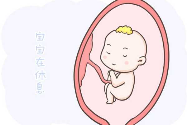 孕9周能感觉到胎动吗,九周胎儿会有胎动吗正常吗 第2张 孕9周能感觉到胎动吗,九周胎儿会有胎动吗正常吗 第2张