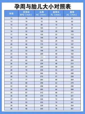 37周胎儿发育标准值是多少呢,孕37周胎儿发育图片 第3张 37周胎儿发育标准值是多少呢,孕37周胎儿发育图片 第3张