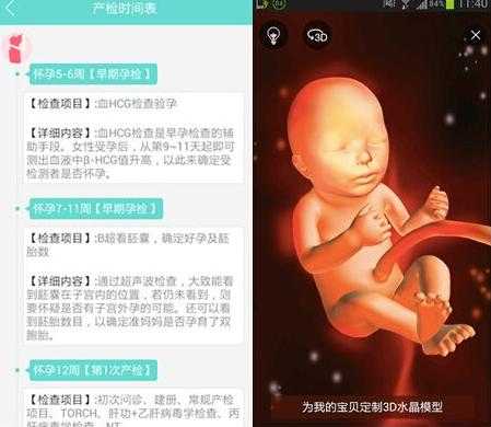 孕期伴侣40周全程贴心伴侣(孕期伴侣40周全程贴心伴侣正常吗) 第2张 孕期伴侣40周全程贴心伴侣(孕期伴侣40周全程贴心伴侣正常吗) 第2张