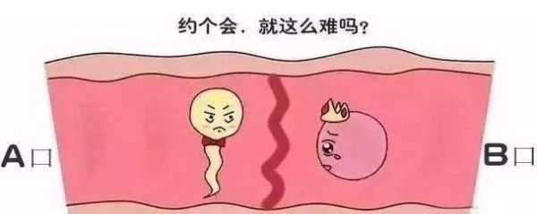 怀孕期间输卵管疼（输卵管通液很痛怎么回事）  第2张