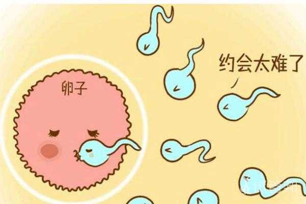 易孕期体外排精会怀孕吗(人家说体外也会怀孕,是什么原因) 第1张 易孕期体外排精会怀孕吗(人家说体外也会怀孕,是什么原因) 第1张