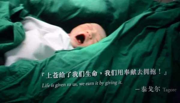 有没有像《生门》《无限生机》这样的生孩子的纪录片,关于胎儿的纪录片推荐 第1张 有没有像《生门》《无限生机》这样的生孩子的纪录片,关于胎儿的纪录片推荐 第1张
