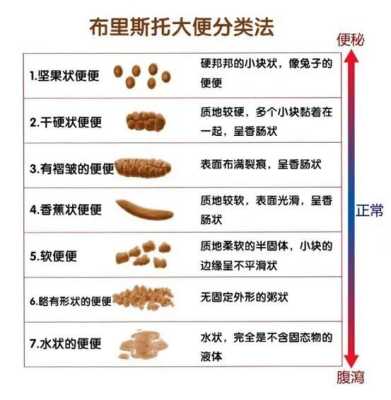 怀孕期间大便不成形(大便不成型的原因) 第1张 怀孕期间大便不成形(大便不成型的原因) 第1张