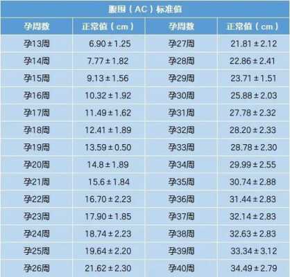 TTD是什么,胎儿腹横径是什么意思 第2张 TTD是什么,胎儿腹横径是什么意思 第2张