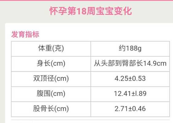 孕18周胎儿发育指标(怀孕16周胎儿应该多大) 第2张 孕18周胎儿发育指标(怀孕16周胎儿应该多大) 第2张
