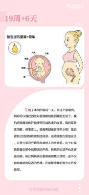 19周胎儿发育标准值(19周孩子可不可以打掉) 第3张 19周胎儿发育标准值(19周孩子可不可以打掉) 第3张