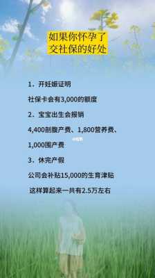怀孕期间社保如何解决(怀孕期间社保是公司交还是自己交) 第1张 怀孕期间社保如何解决(怀孕期间社保是公司交还是自己交) 第1张