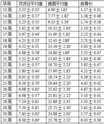 25周多了,四维彩超说NF增厚是什么意思,25周胎儿发育标准数值对照表 第2张 25周多了,四维彩超说NF增厚是什么意思,25周胎儿发育标准数值对照表 第2张