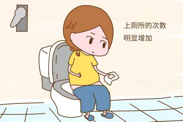 怀孕期间尿频是怎么回事,怀孕期间尿频怎么办啊 第3张 怀孕期间尿频是怎么回事,怀孕期间尿频怎么办啊 第3张