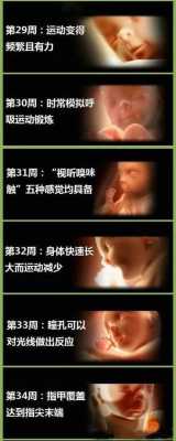 胎儿在肚子里266天(怀孕两周是多久) 第2张 胎儿在肚子里266天(怀孕两周是多久) 第2张