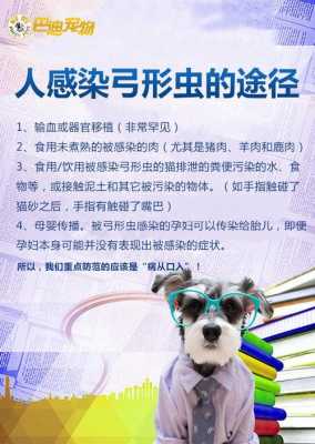 孕期感染弓形虫有什么症状(孕期感染弓形虫有什么症状Igg) 第1张 孕期感染弓形虫有什么症状(孕期感染弓形虫有什么症状Igg) 第1张